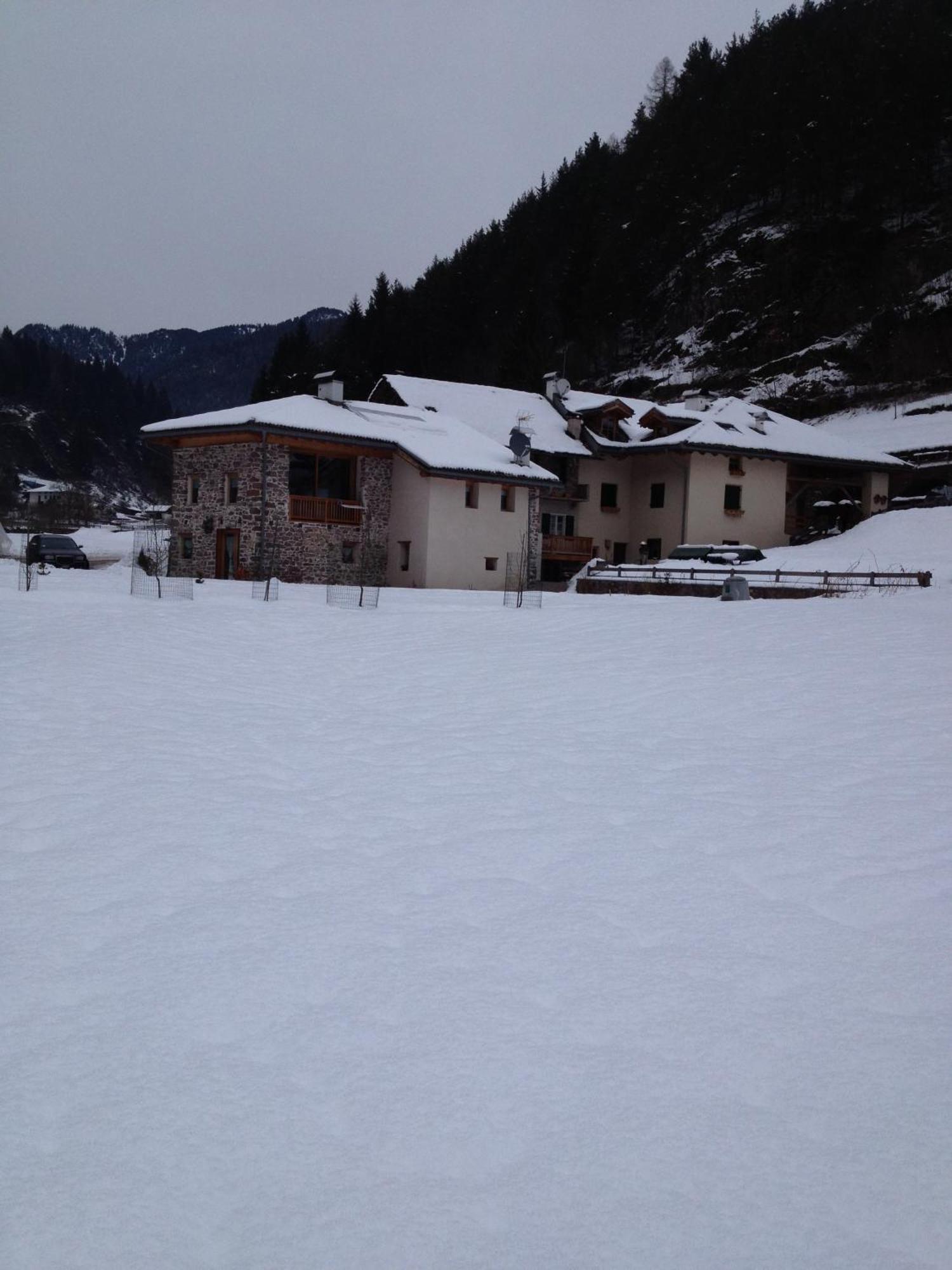 Maso Toneto Hotel Castello-Molina di Fiemme Exterior foto